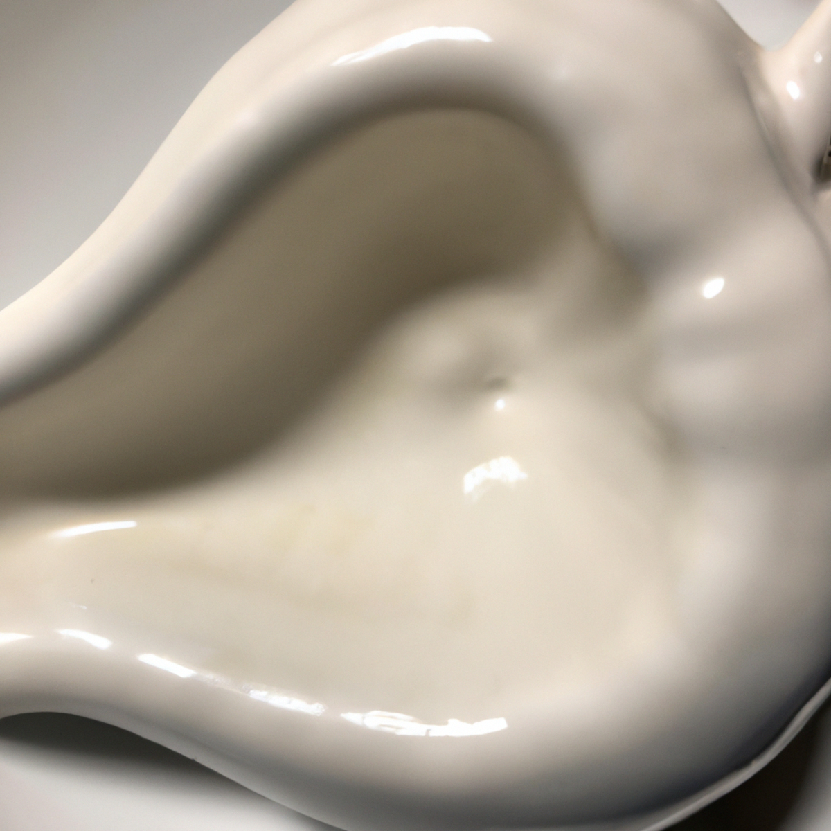 Close-up of porcelain gallbladder specimen, showcasing intricate details and smooth, white surface - Porcelain Gallbladder